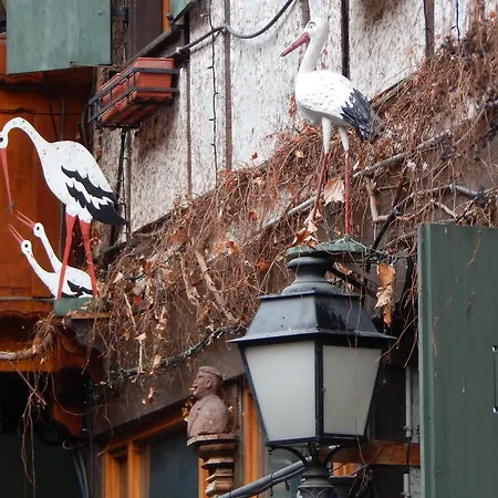 Au Coup De Coeur كولمار